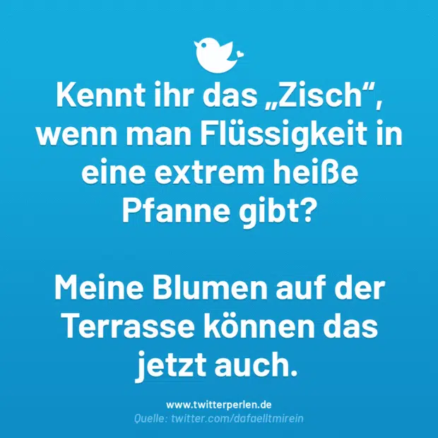 Kennt ihr das „Zisch“, wenn man Flüssigkeit in eine extrem heiße Pfanne gibt?
Meine Blumen auf der Terrasse können das jetzt auch.