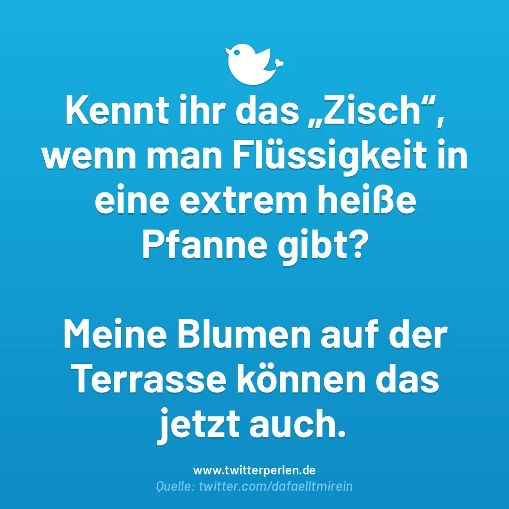 Kennt ihr das „Zisch“, wenn man Flüssigkeit in eine extrem heiße Pfanne gibt?
Meine Blumen auf der Terrasse können das jetzt auch.