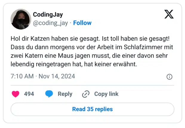 Hol dir Katzen haben sie gesagt. Ist toll haben sie gesagt! Dass du dann morgens vor der Arbeit im Schlafzimmer mit zwei Katern eine Maus jagen musst, die einer davon sehr lebendig reingetragen hat, hat keiner erwähnt.