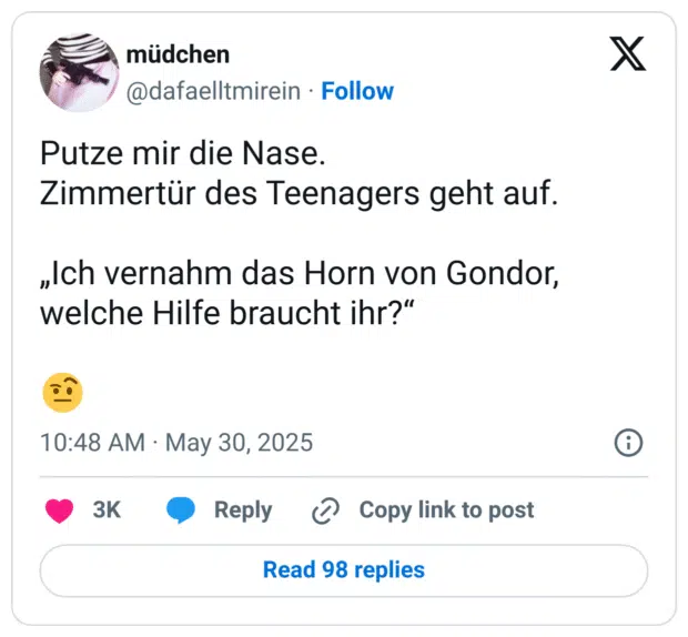 Putze mir die Nase.
Zimmertür des Teenagers geht auf.

„Ich vernahm das Horn von Gondor, welche Hilfe braucht ihr?“

🤨