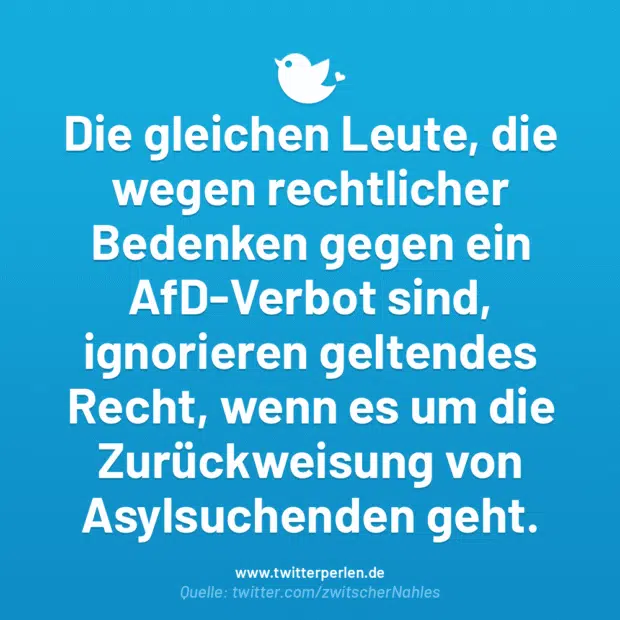 Die gleichen Leute, die wegen rechtlicher Bedenken gegen ein AfD-Verbot sind, ignorieren geltendes Recht, wenn es um die Zurückweisung von Asylsuchenden geht.