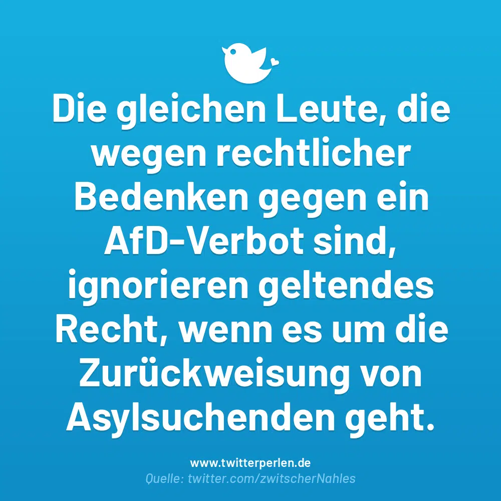 Die gleichen Leute, die wegen rechtlicher Bedenken gegen ein AfD-Verbot sind, ignorieren geltendes Recht, wenn es um die Zurückweisung von Asylsuchenden geht.