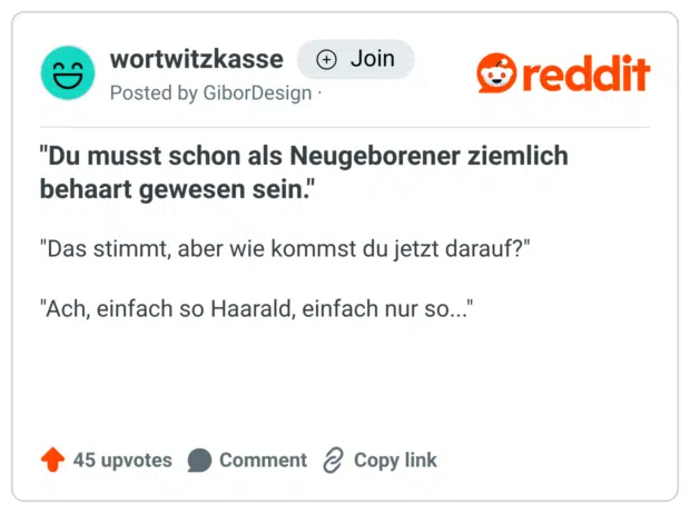 Reddit-Post mit dem Wortspiel-Dialog:
„Du musst schon als Neugeborener ziemlich behaart gewesen sein.“
„Das stimmt, aber wie kommst du jetzt darauf?“
„Ach, einfach so Haarald, einfach nur so…“
— Ein Flachwitz, der „einfach so, Harald“ zu „einfach so, Haar-ald“ umdeutet.
