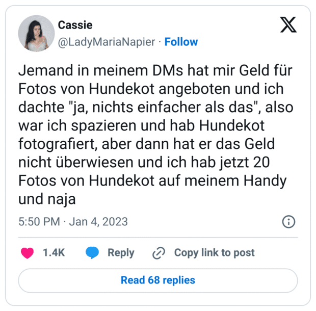 Jemand in meinem DMs hat mir Geld für Fotos von Hundekot angeboten und ich dachte "ja, nichts einfacher als das", also war ich spazieren und hab Hundekot fotografiert, aber dann hat er das Geld nicht überwiesen und ich hab jetzt 20 Fotos von Hundekot auf meinem Handy und naja
