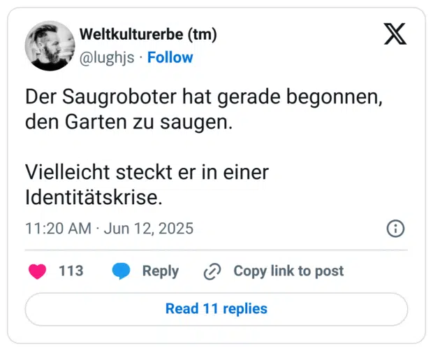 Der Saugroboter hat gerade begonnen, den Garten zu saugen.

Vielleicht steckt er in einer Identitätskrise.