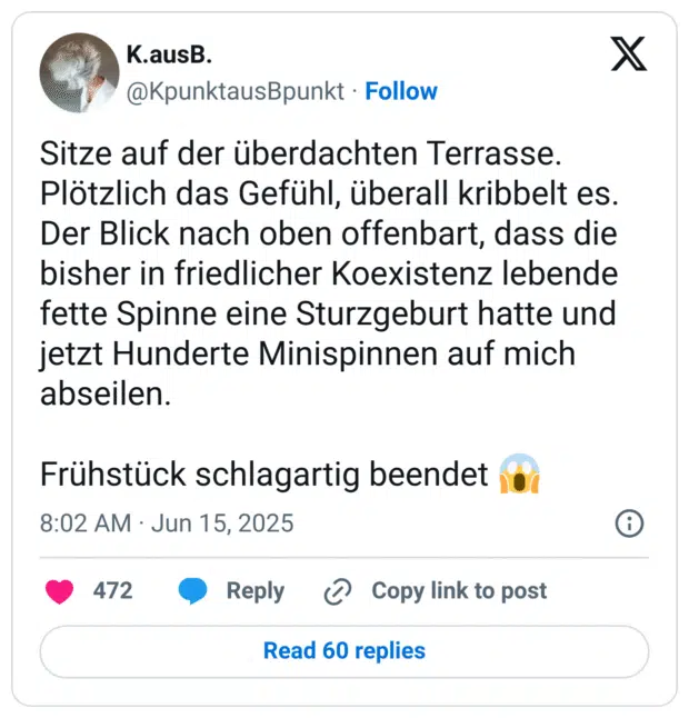 Sitze auf der überdachten Terrasse. Plötzlich das Gefühl, überall kribbelt es. Der Blick nach oben offenbart, dass die bisher in friedlicher Koexistenz lebende fette Spinne eine Sturzgeburt hatte und jetzt Hunderte Minispinnen auf mich abseilen. Frühstück schlagartig beendet
