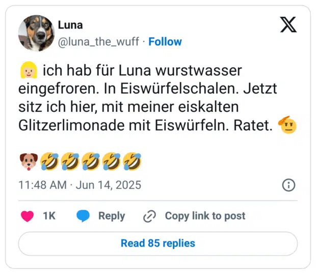 ch hab für Luna wurstwasser eingefroren. In Eiswürfelschalen. Jetzt sitz ich hier, mit meiner eiskalten Glitzerlimonade mit Eiswürfeln.