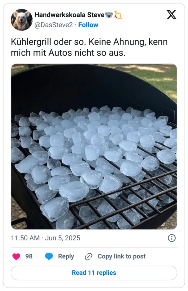 Kühlergrill oder so. Keine Ahnung, kenn mich mit Autos nicht so aus.