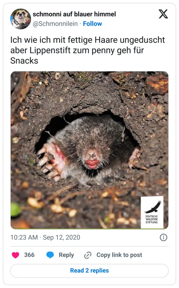 Ich wie ich mit fettige Haare ungeduscht aber Lippenstift zum penny geh für Snacks
