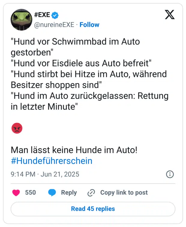 "Hund vor Schwimmbad im Auto gestorben"
"Hund vor Eisdiele aus Auto befreit"
"Hund stirbt bei Hitze im Auto, während Besitzer shoppen sind"
"Hund im Auto zurückgelassen: Rettung in letzter Minute"

😡

Man lässt keine Hunde im Auto!
#Hundeführerschein
