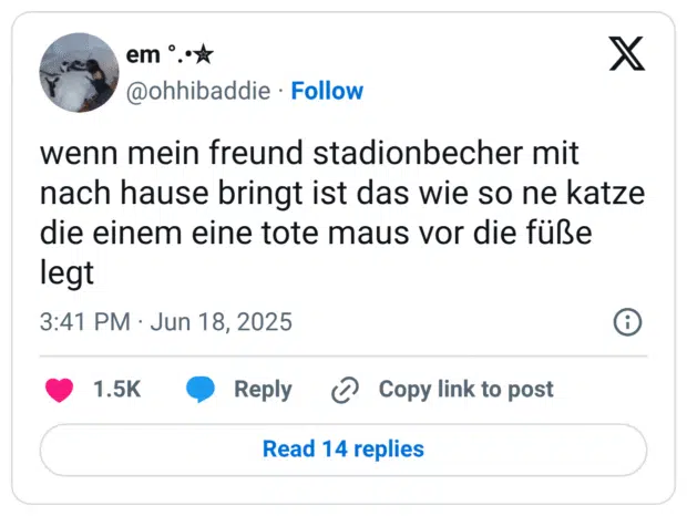 wenn mein freund stadionbecher mit nach hause bringt ist das wie so ne katze die einem eine tote maus vor die füße legt