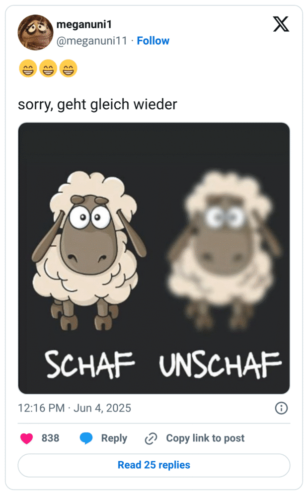 Ein humorvoller Tweet von @meganuni11 mit dem Text: „😄😄😄 sorry, geht gleich wieder“. Darunter ein Bild mit zwei gezeichneten Schafen auf schwarzem Hintergrund. Links ein klar gezeichnetes Schaf mit der Beschriftung „SCHAF“, rechts daneben ein stark verschwommenes Schaf mit der Beschriftung „UNSCHAF“. Wortspiel mit den Begriffen „scharf/unscharf“ und dem Tier „Schaf“.