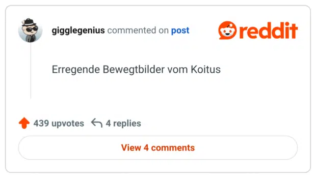 Erregende Bewegtbilder vom Koitus