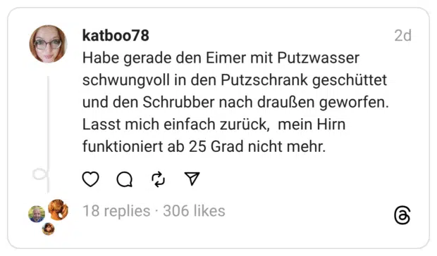 Habe gerade den Eimer mit Putzwasser schwungvoll in den Putzschrank geschüttet und den Schrubber nach draußen geworfen. Lasst mich einfach zurück, mein Hirn funktioniert ab 25 Grad nicht mehr.
