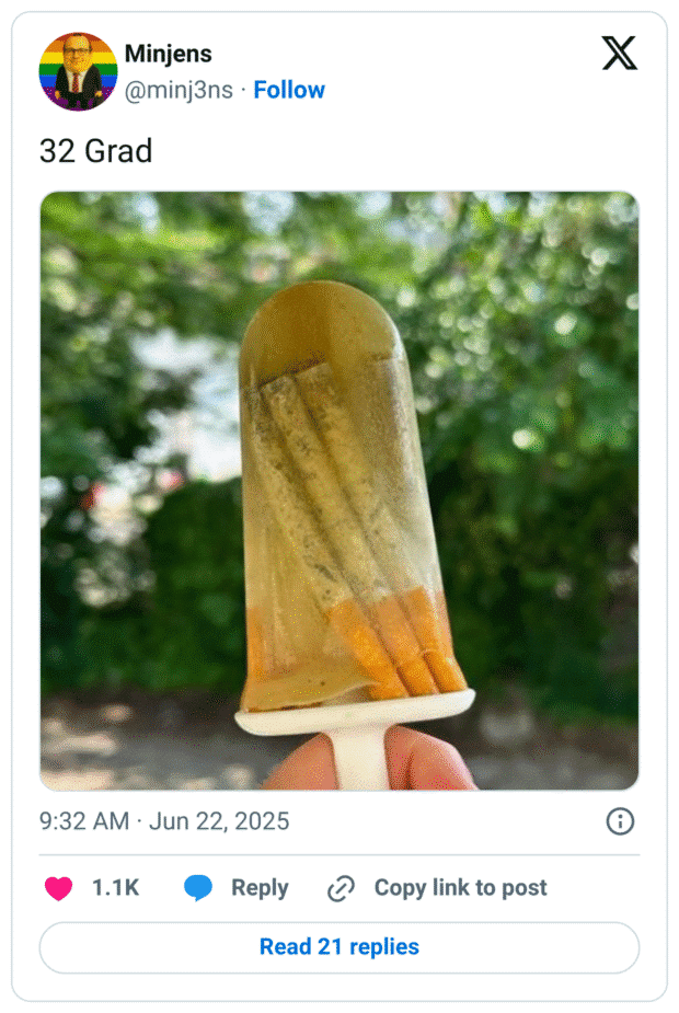 Tweet von @minj3ns mit dem Text „32 Grad“. Das Bild zeigt ein selbstgemachtes Eis am Stiel, in dem mehrere Zigarettenstummel eingefroren sind. Im Hintergrund unscharf: grüne Bäume und Sommersonne. Das Bild spielt humorvoll auf die Hitze und den absurden Umgang mit Erfrischung an.