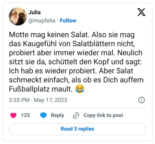Motte mag keinen Salat. Also sie mag das Kaugefühl von Salatblättern nicht, probiert aber immer wieder mal. Neulich sitzt sie da, schüttelt den Kopf und sagt: Ich hab es wieder probiert. Aber Salat schmeckt einfach, als ob es Dich auffem Fußballplatz mault. :freudentränen: