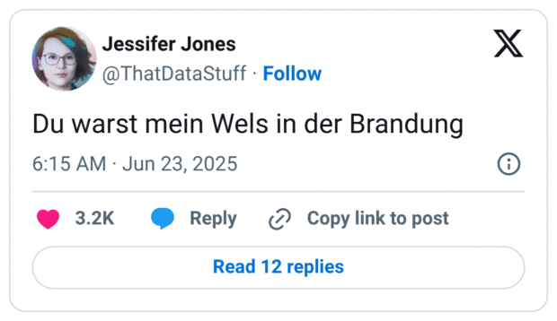 Du warst mein Wels in der Brandung