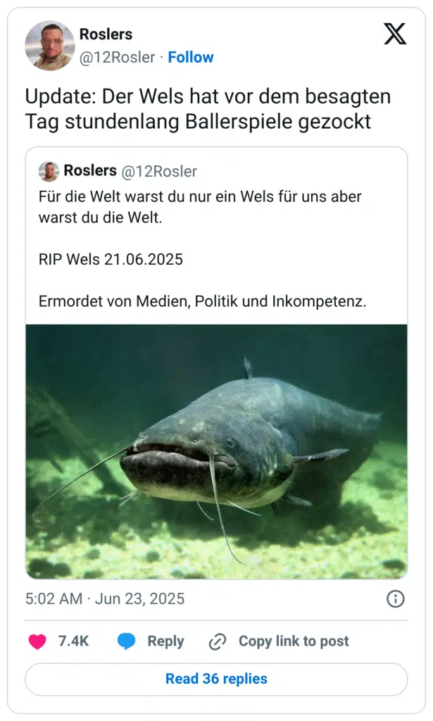 Update: Der Wels hat vor dem besagten Tag stundenlang Ballerspiele gezockt