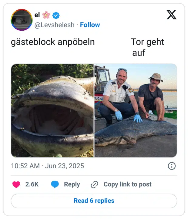 gästeblock anpöbeln                Tor geht auf