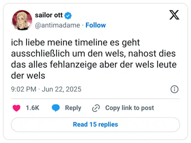 ich liebe meine timeline es geht ausschließlich um den wels, nahost dies das alles fehlanzeige aber der wels leute der wels