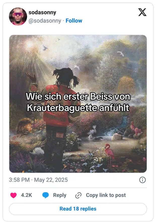 Ein Meme zeigt eine stilisierte Collage: Im Vordergrund steht eine Person mit Dreadlocks und bunter Jacke, die in eine traumhafte Landschaft voller Tiere, Lichtstrahlen und Natur blickt. Darauf steht der Text: „Wie sich erster Beiss von Kräuterbaguette anfühlt“. Die Szene wirkt himmlisch, fast spirituell – als überzeichneter Vergleich für den Genussmoment beim ersten Bissen Kräuterbaguette.
