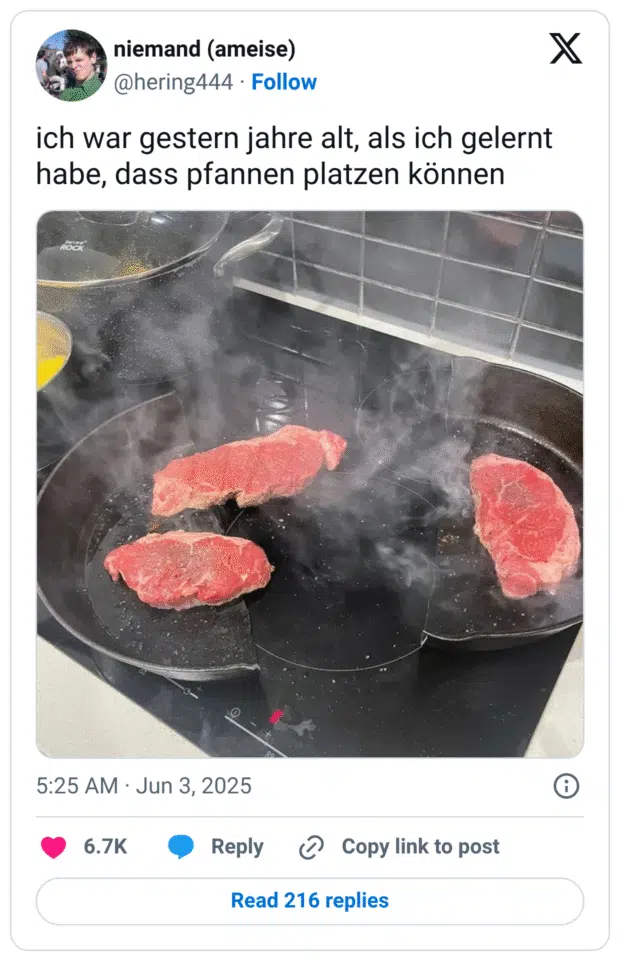Tweet von @hering444 mit dem Text: „ich war gestern jahre alt, als ich gelernt habe, dass pfannen platzen können“. Darunter ein Foto einer Herdplatte mit mehreren Pfannen, in denen rohes Steak brutzelt. Eine der Pfannen ist deutlich gesplittert und in mehrere große Bruchstücke zerbrochen, während weiter darin gekocht wird. Es steigt starker Dampf auf – eine Mischung aus Schock und Humor.