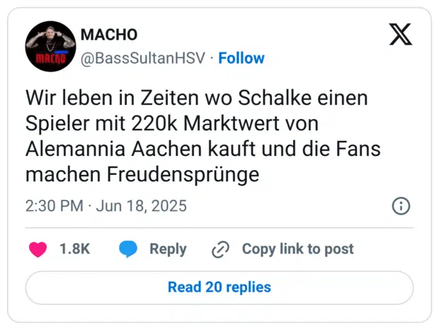 Wir leben in Zeiten wo Schalke einen Spieler mit 220k Marktwert von Alemannia Aachen kauft und die Fans machen Freudensprünge