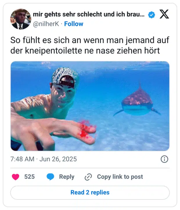 Tweet von @nilherK mit dem Text: „So fühlt es sich an wenn man jemand auf der kneipentoilette ne nase ziehen hört“. Darunter ein Unterwasserfoto eines jungen Mannes mit Baseballcap, der seine blutende Hand zur Kamera hält. Im Hintergrund schwimmt ein Hai bedrohlich näher. Die humorvolle Analogie: Das unsichere Gefühl, wenn man in einer Kneipentoilette verdächtige Schniefgeräusche hört, wird mit der Gefahr eines Hais beim Blut im Wasser verglichen.