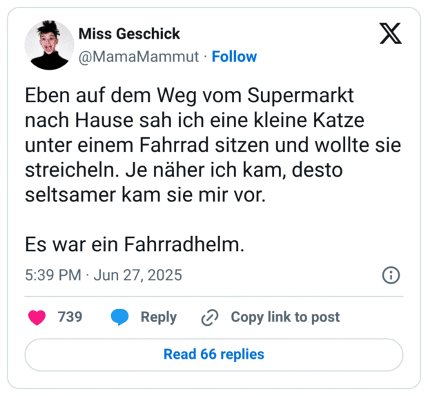 Eben auf dem Weg vom Supermarkt nach Hause sah ich eine kleine Katze unter einem Fahrrad sitzen und wollte sie streicheln. Je näher ich kam, desto seltsamer kam sie mir vor.

Es war ein Fahrradhelm.