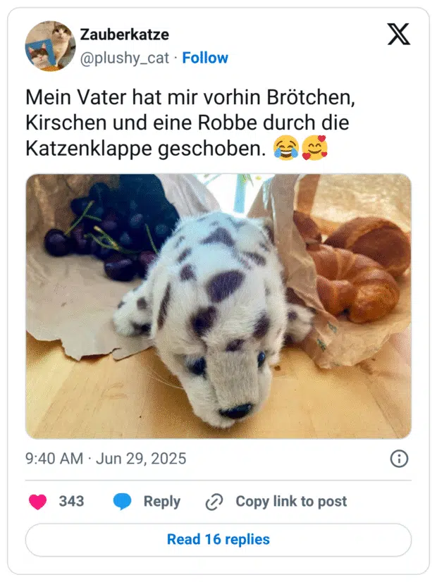 Mein Vater hat mir vorhin Brötchen, Kirschen und eine Robbe durch die Katzenklappe geschoben. 😂🥰
