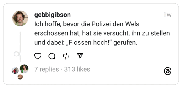 Ich hoffe, bevor die Polizei den Wels erschossen hat, hat sie versucht, ihn zu stellen und dabei: „Flossen hoch!“ gerufen.