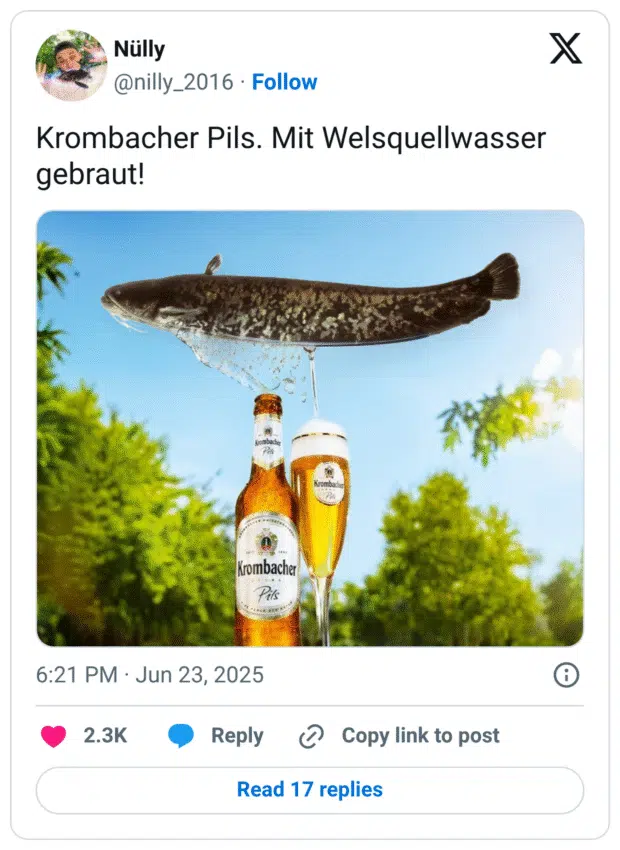 Eine Werbeanmutung für Krombacher Pils mit einer Flasche und einem gefüllten Bierglas im Vordergrund. Darüber schwebt ein großer Welsfisch, aus dessen Maul ein Wasserstrahl direkt ins Bierglas fließt. Dazu der humorvolle Text „Krombacher Pils. Mit Welsquellwasser gebraut!“.