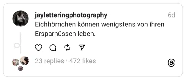 Eichhörnchen können wenigstens von ihren Ersparnüssen leben.