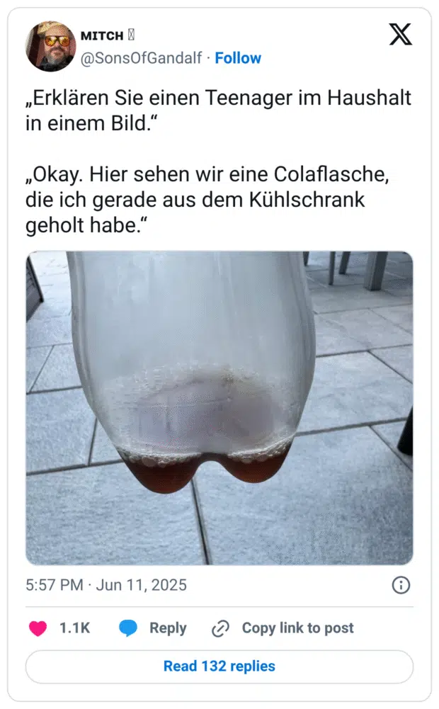 „Erklären Sie einen Teenager im Haushalt in einem Bild." ,Okay. Hier sehen wir eine Colaflasche, die ich gerade aus dem Kühlschrank geholt habe.