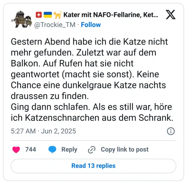 Gestern Abend habe ich die Katze nicht mehr gefunden. Zuletzt war auf dem Balkon. Auf Rufen hat sie nicht geantwortet (macht sie sonst). Keine Chance eine dunkelgraue Katze nachts draussen zu finden.
Ging dann schlafen. Als es still war, höre ich Katzenschnarchen aus dem Schrank.