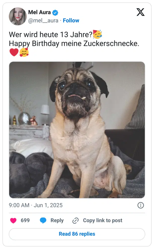 Wer wird heute 13 Jahre?🥳
Happy Birthday meine Zuckerschnecke.❤️🥰