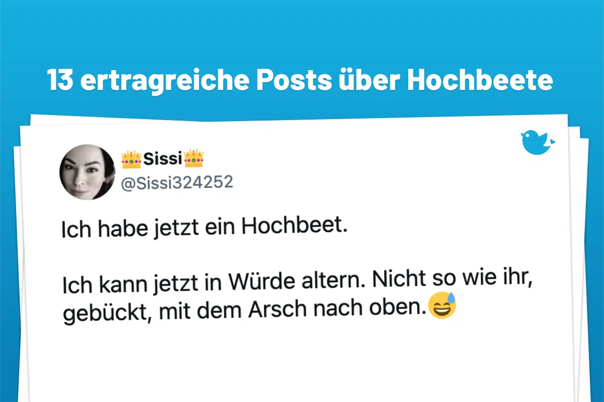 13 ertragreiche Geschichten über Hochbeete: Ich habe jetzt ein Hochbeet. Ich kann jetzt in Würde altern. Nicht so wie ihr, gebückt, mit dem Arsch nach oben.😅