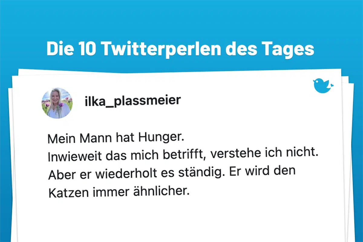 Mein Mann hat Hunger. Inwieweit das mich betrifft, verstehe ich nicht. Aber er wiederholt es ständig. Er wird den Katzen immer ähnlicher.