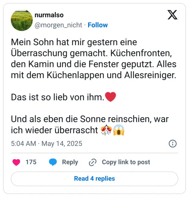 Mein Sohn hat mir gestern eine Überraschung gemacht. Küchenfronten, den Kamin und die Fenster geputzt. Alles mit dem Küchenlappen und Allesreiniger.
Das ist so lieb von ihm.:herz:
Und als eben die Sonne reinschien, war ich wieder überrascht :konfetti-ball::der_schrei: