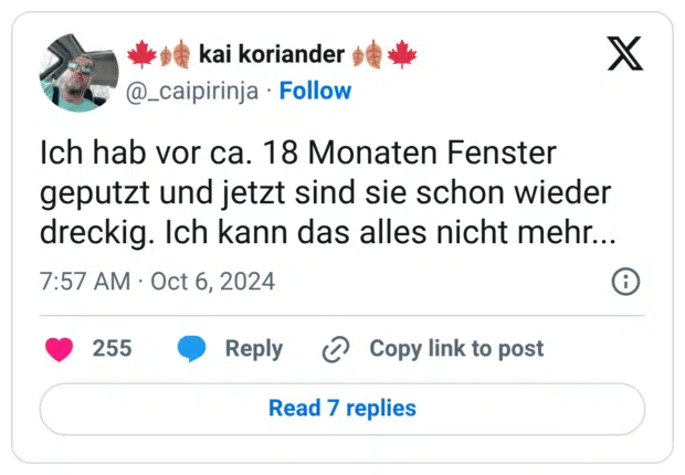 Ich hab vor ca. 18 Monaten Fenster geputzt und jetzt sind sie schon wieder dreckig. Ich kann das alles nicht mehr...