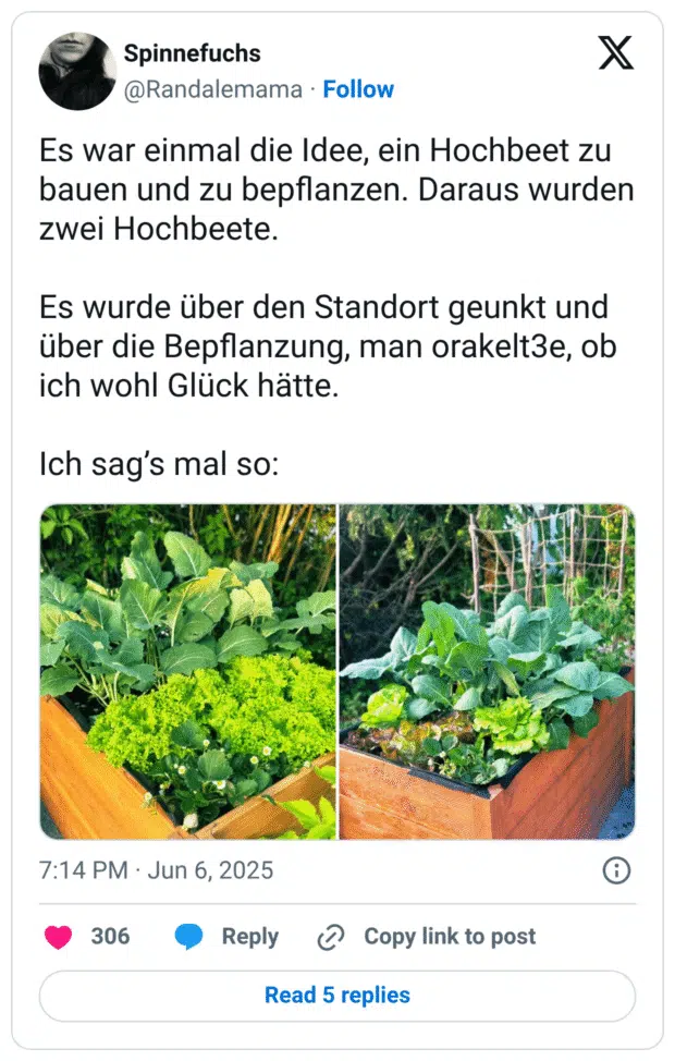Es war einmal die Idee, ein Hochbeet zu bauen und zu bepflanzen. Daraus wurden zwei Hochbeete.
Es wurde über den Standort geunkt und über die Bepflanzung, man orakelt3e, ob ich wohl Glück hätte.
Ich sag’s mal so: