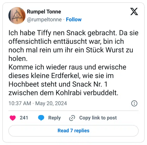 Ich habe Tiffy nen Snack gebracht. Da sie offensichtlich enttäuscht war, bin ich noch mal rein um ihr ein Stück Wurst zu holen.
Komme ich wieder raus und erwische dieses kleine Erdferkel, wie sie im Hochbeet steht und Snack Nr. 1 zwischen dem Kohlrabi verbuddelt.