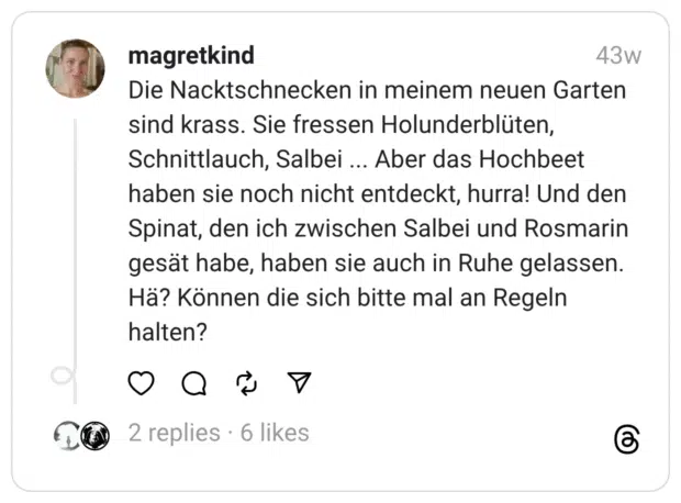 Die Nacktschnecken in meinem neuen Garten sind krass. Sie fressen Holunderblüten, Schnittlauch, Salbei ... Aber das Hochbeet haben sie noch nicht entdeckt, hurra! Und den Spinat, den ich zwischen Salbei und Rosmarin gesät habe, haben sie auch in Ruhe gelassen. Hä? Können die sich bitte mal an Regeln halten? 