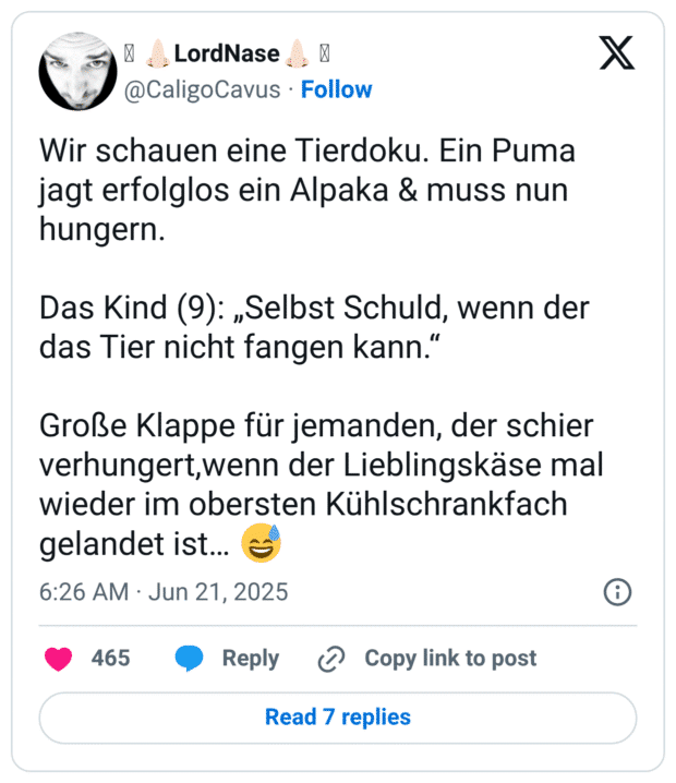 Wir schauen eine Tierdoku. Ein Puma jagt erfolglos ein Alpaka & muss nun hungern.

Das Kind (9): „Selbst Schuld, wenn der das Tier nicht fangen kann.“

Große Klappe für jemanden, der schier verhungert,wenn der Lieblingskäse mal wieder im obersten Kühlschrankfach gelandet ist… 😅
