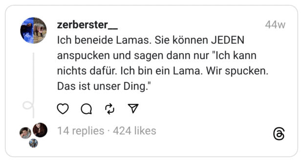 Ich beneide Lamas. Sie können JEDEN anspucken und sagen dann nur "Ich kann nichts dafür. Ich bin ein Lama. Wir spucken. Das ist unser Ding."