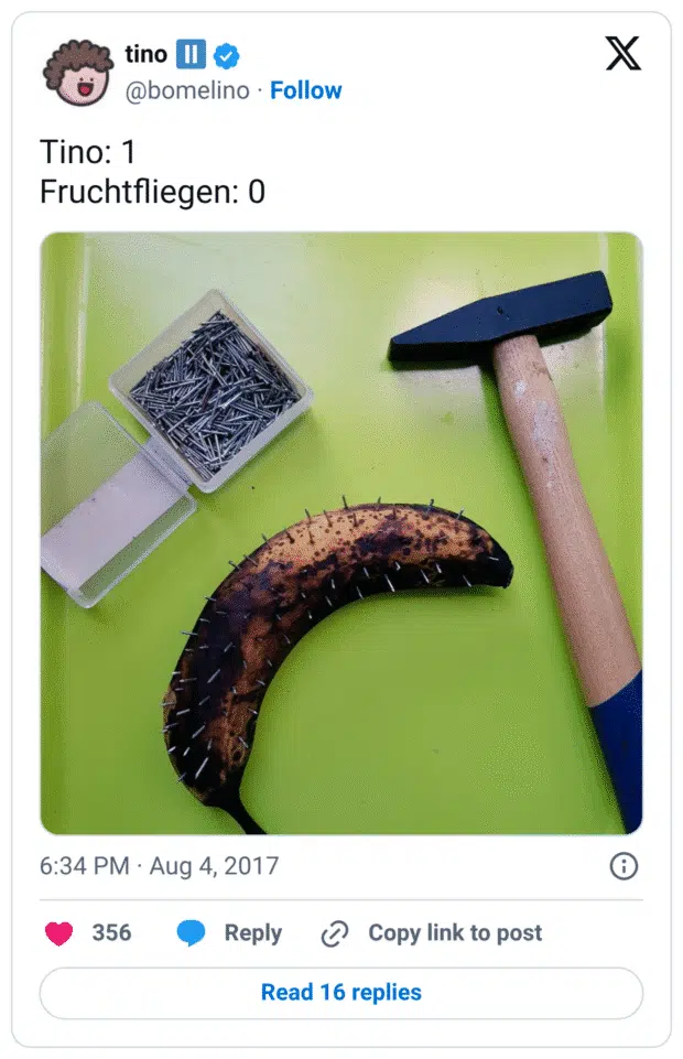 Tino: 1
Fruchtfliegen: 0
