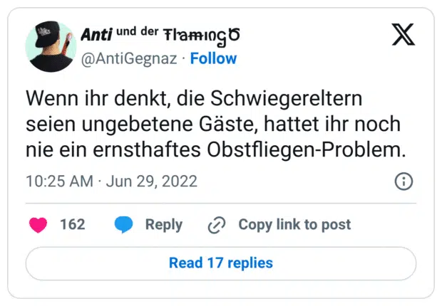 Wenn ihr denkt, die Schwiegereltern seien ungebetene Gäste, hattet ihr noch nie ein ernsthaftes Obstfliegen-Problem.
