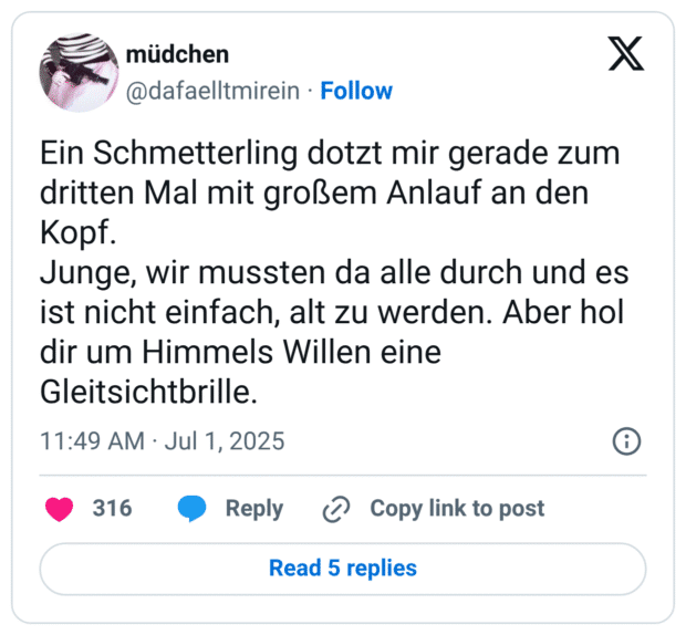 Ein Schmetterling dotzt mir gerade zum dritten Mal mit großem Anlauf an den Kopf. Junge, wir mussten da alle durch und es ist nicht einfach, alt zu werden. Aber hol dir um Himmels Willen eine Gleitsichtbrille.