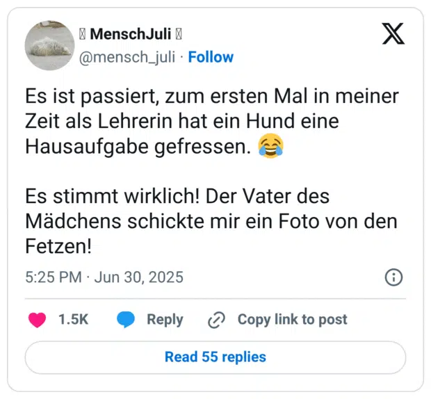 Es ist passiert, zum ersten Mal in meiner Zeit als Lehrerin hat ein Hund eine Hausaufgabe gefressen. Es stimmt wirklich! Der Vater des Mädchens schickte mir ein Foto von den Fetzen!
