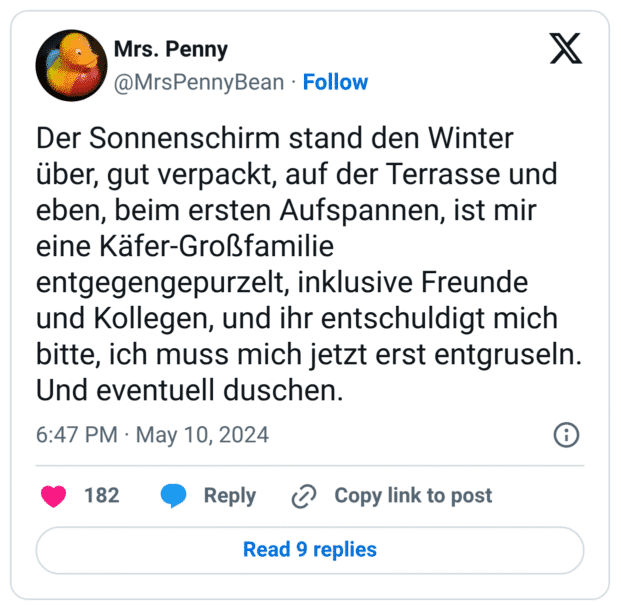 Der Sonnenschirm stand den Winter über, gut verpackt, auf der Terrasse und eben, beim ersten Aufspannen, ist mir eine Käfer-Großfamilie entgegengepurzelt, inklusive Freunde und Kollegen, und ihr entschuldigt mich bitte, ich muss mich jetzt erst entgruseln.
Und eventuell duschen.
